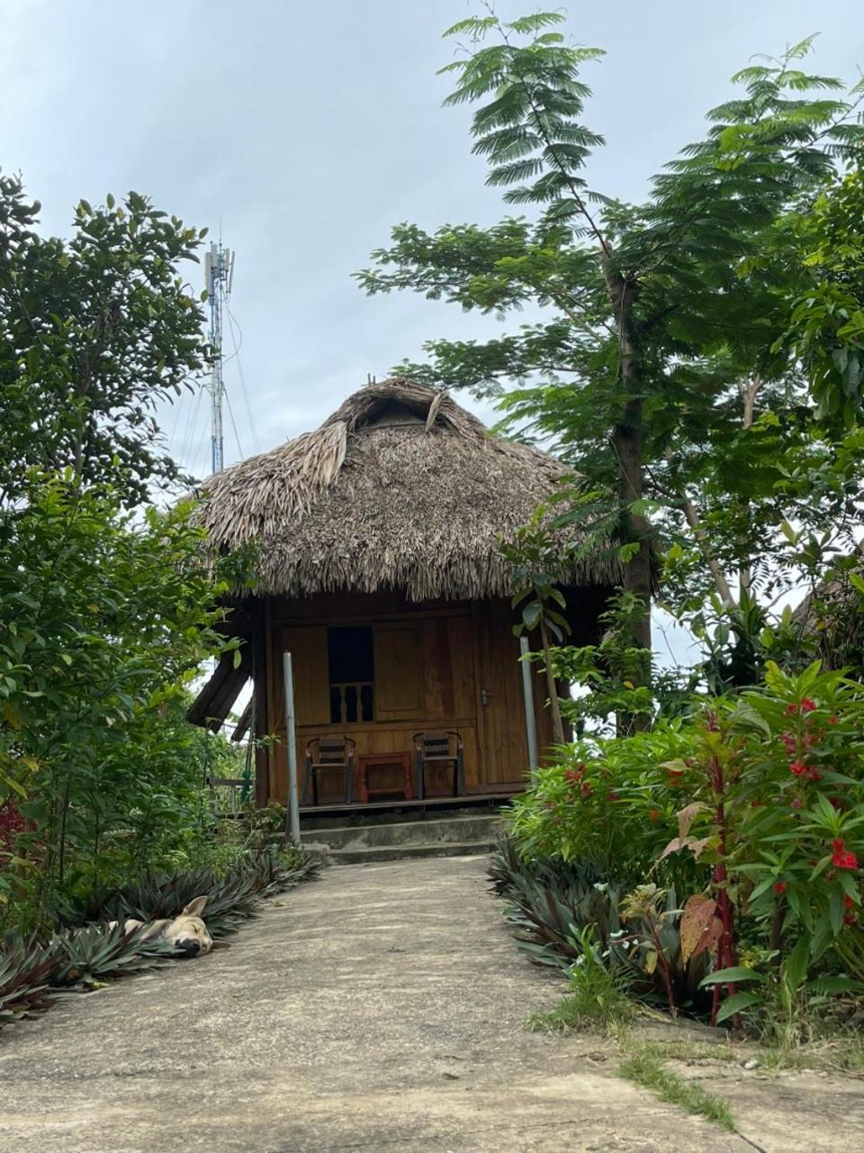 Cuc Phuong Bungalow Nho Quan Kültér fotó